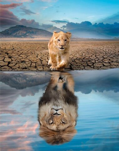 PUZZLE REFLEJO 300 PZ