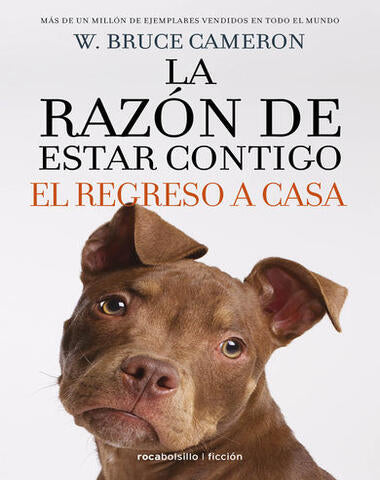 RAZON DE ESTAR CONTIGO, LA