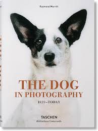 DOG IN PHOTOGRAPHY, THE