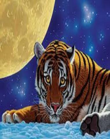 PUZZLE TIGER MOON 500 PZ