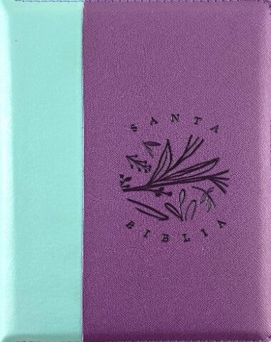 SANTA BIBLIA VERDE / MORADO RVR