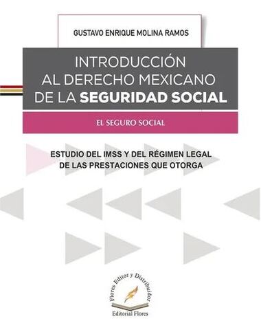 INTRODUCCION DERECHO MEXICANO SEGURIDAD