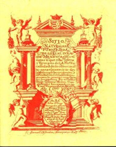 SITIO NATURALEZA Y PROPIEDADES DE LA CIU