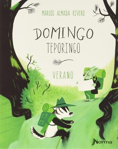 DOMINGO TEPORINGO VERANO