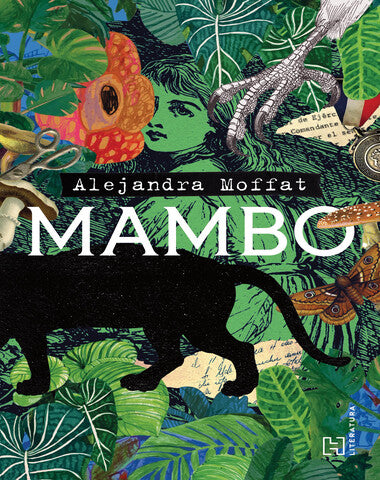MAMBO