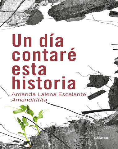 UN DIA CONTARE ESTA HISTORIA