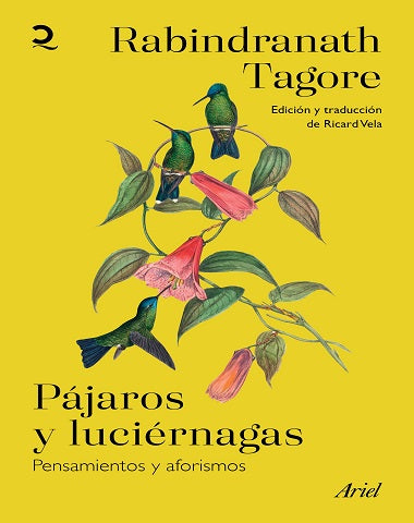 PAJAROS Y LUCIERNAGAS