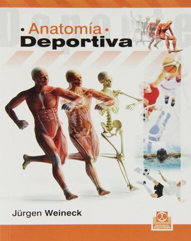 ANATOMIA DEPORTIVA