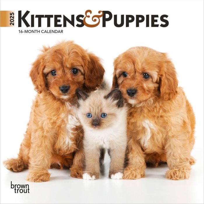 MINI CALENDARIO KITTENS Y PUPPIES 2025