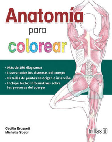 ANATOMIA PARA COLOREAR