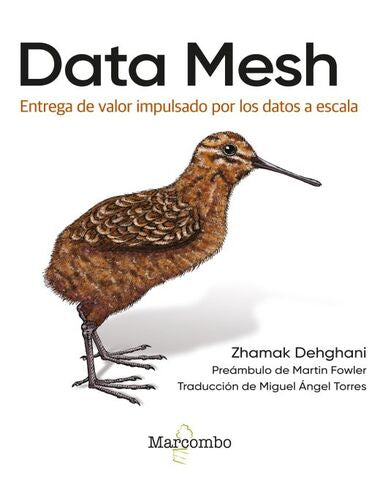 DATA MESH