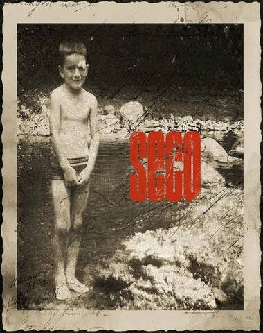 RICARDO ARJONA / SECO