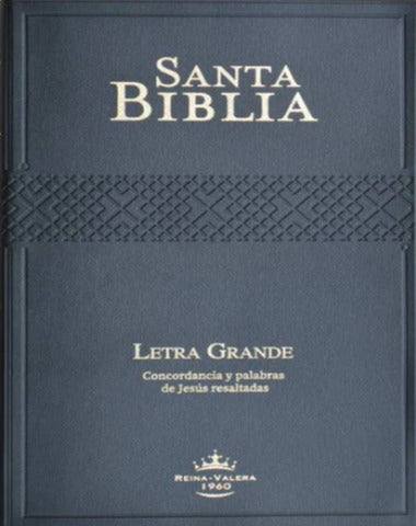 SANTA BIBLIA LETRA GRANDE VINIL NEGRO