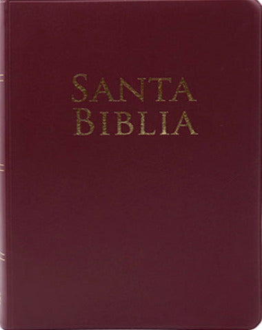 SANTA BIBLIA GRANDE VINIL