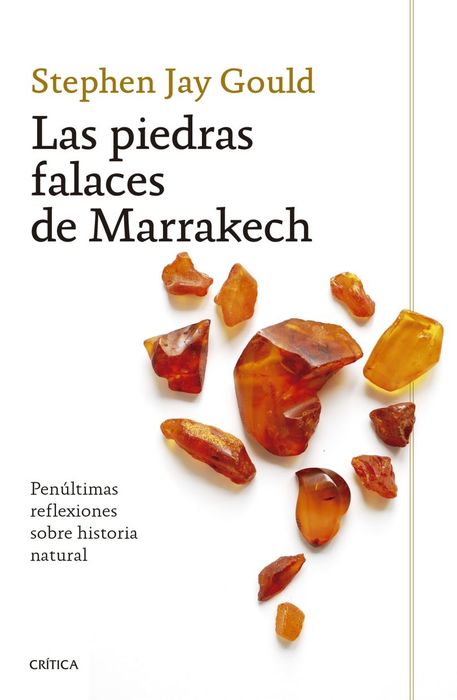 PIEDRAS FALACES DE MARRAKECH, LAS