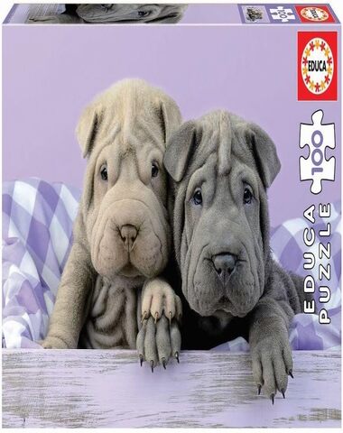 PUZZLE BUENOS DIAS 100 PZ