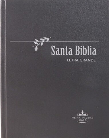 SANTA BIBLIA LG GRIS RV60