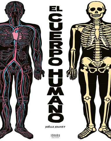 CUERPO HUMANO, EL