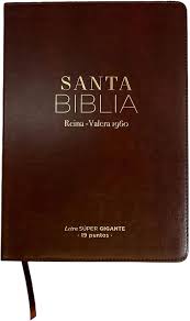 SANTA BIBLIA LETRA SUPER GIGANTE CAFE