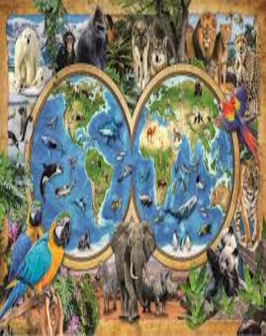 PUZZLE MARAVILLOSO MUNDO ANIMAL 300 PZ