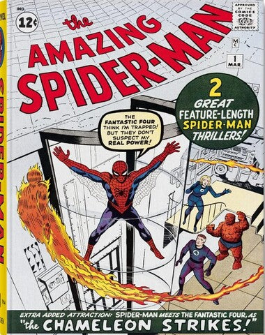 THE AMAZING SPIDER MAN 1962 1964 VOL 1