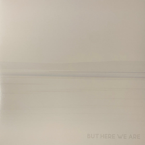 LP FOO FIGHTERS / BUT HERE WE ARE
