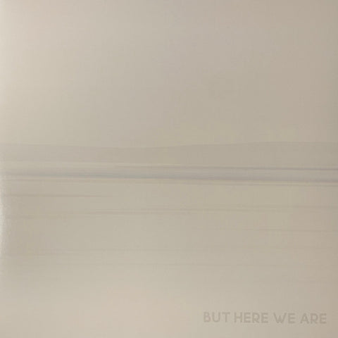 LP FOO FIGHTERS / BUT HERE WE ARE