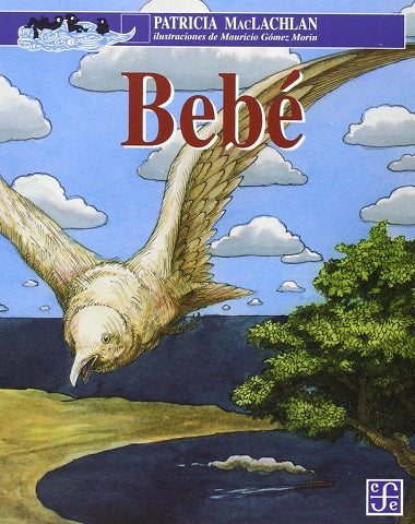 BEBE