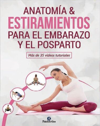 ANATOMIA Y ESTIRAMIENTOS PARA EL EMBARAZ