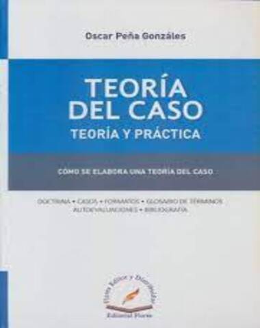 TEORIA DEL CASO TEORIA Y PRACTICA COMO