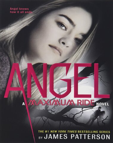 ANGEL MAXIMUM RIDE