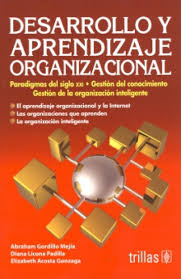 DESARROLLO Y APRENDIZAJE ORGANIZACIONAL