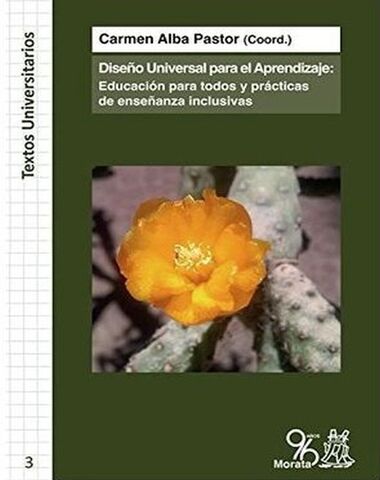 DISEÑO UNIVERSAL PARA EL APRENDIZAJE