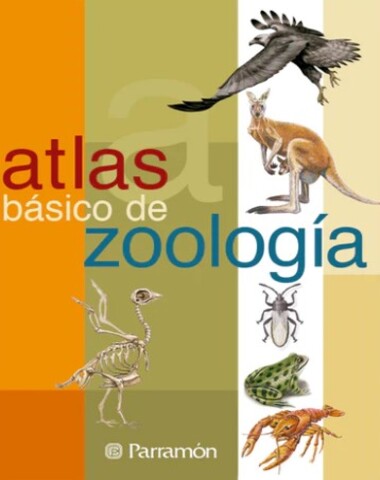 ATLAS BASICO DE ZOOLOGIA
