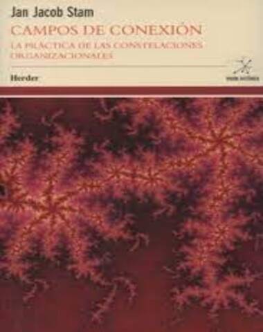 CAMPOS DE CONEXION
