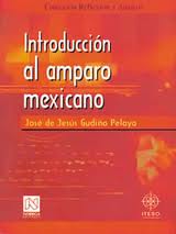 INTRODUCCION AL AMPARO MEXICANO