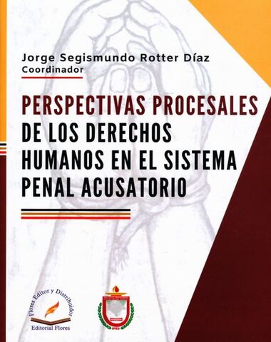 PERSPECTIVAS PROCESALES DE LOS DERECHOS