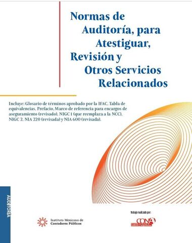 NORMAS DE AUDITORIA PARA ATESTIGUAR REVI