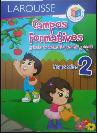 CAMPOS FORMATIVOS 2 PREESCOLAR