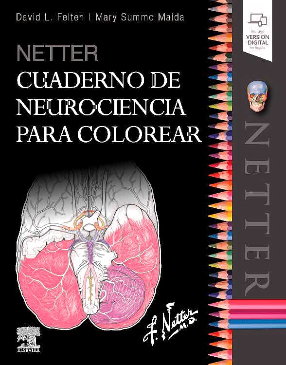 NETTER CUADERNO DE NEUROCIENCIA PARA CO