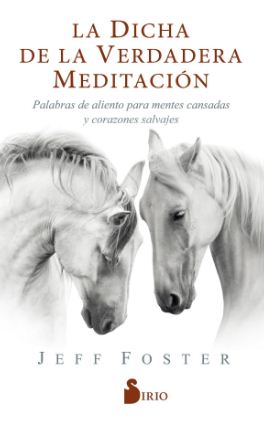 DICHA DE LA VERDADERA MEDITACION, LA