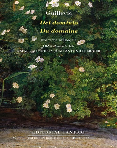 DEL DOMINIO DU DOMAINE