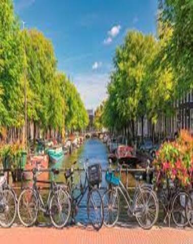 PUZZLE CANAL DE AMSTERDAM 2000 PZ
