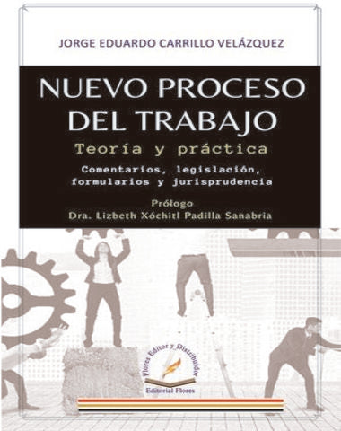 NUEVO PROCESO DEL TRABAJO TEORIA Y PRAC