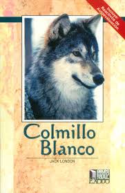 COLMILLO BLANCO