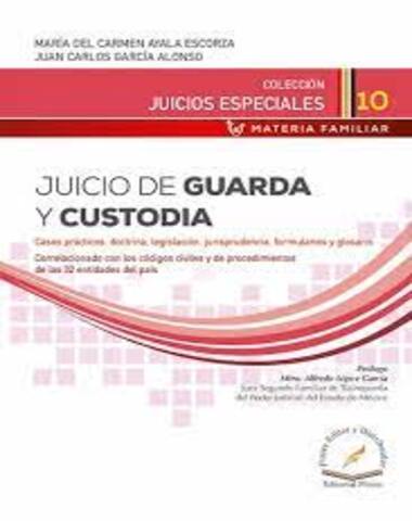 JUICIO DE GUARDIA Y CUSTODIA L-10