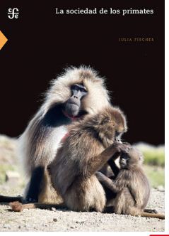 SOCIEDAD DE LOS PRIMATES, LA /CYT