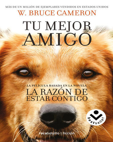 RAZON DE ESTAR CONTIGO, LA