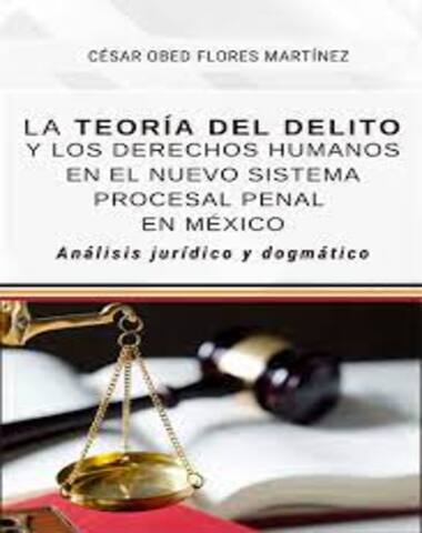 TEORIA DEL DELITO Y LOS DERECHOS HUMANOS