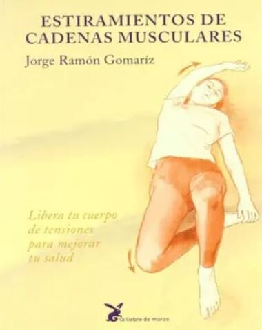 ESTIRAMIENTOS DE CADENAS MUSCULARES